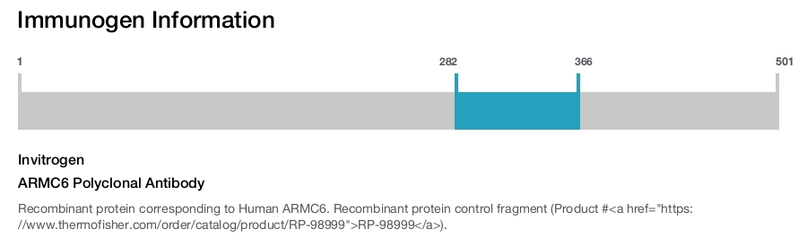ARMC6 Polyclonal Antibody