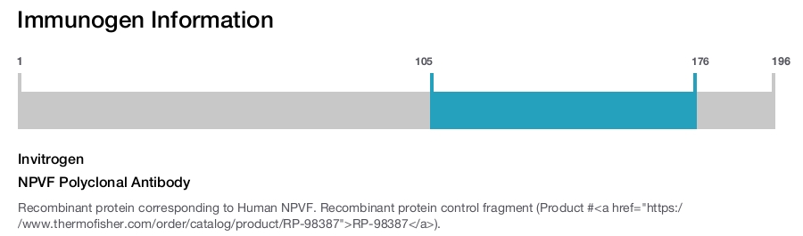 NPVF Polyclonal Antibody