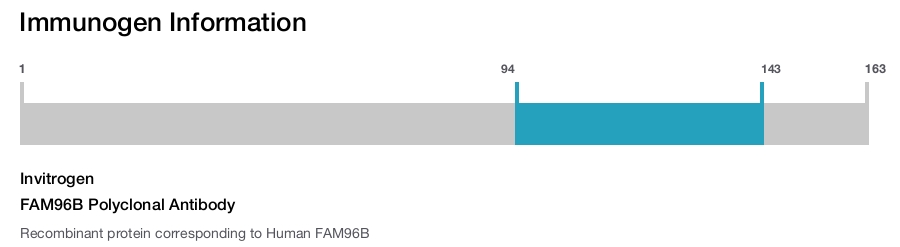 FAM96B Polyclonal Antibody