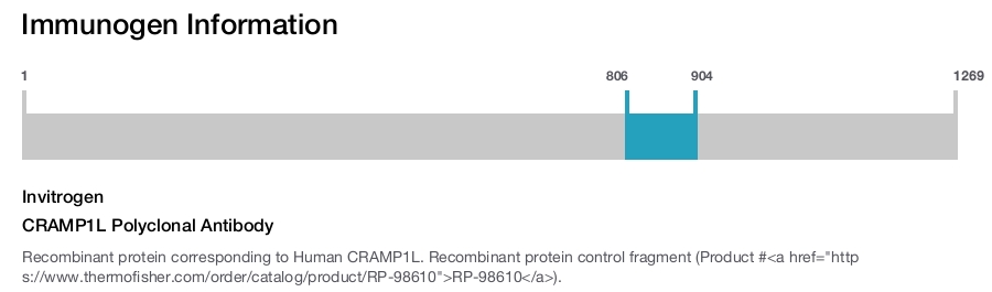 CRAMP1L Polyclonal Antibody