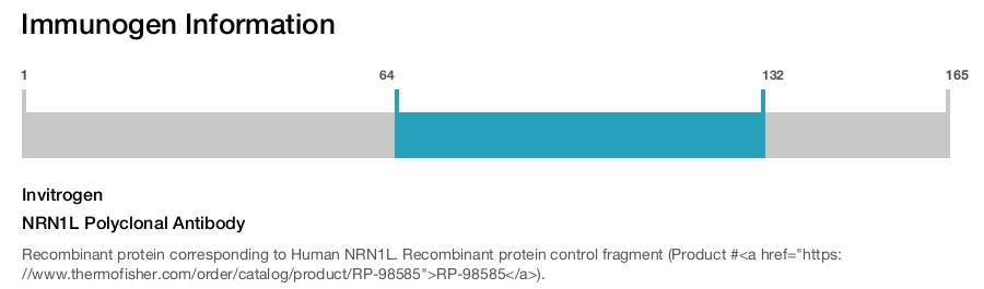 NRN1L Polyclonal Antibody