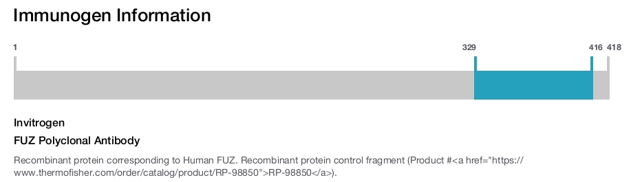 FUZ Polyclonal Antibody