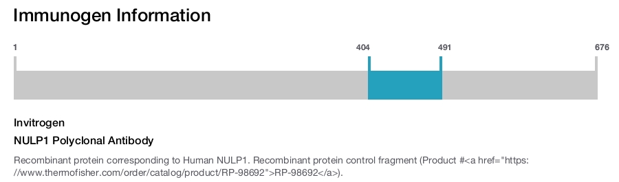 NULP1 Polyclonal Antibody