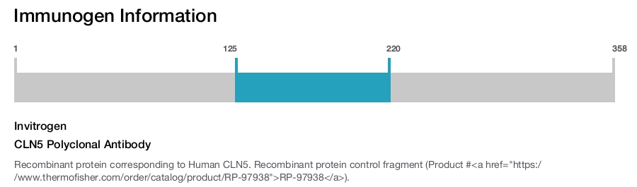 CLN5 Polyclonal Antibody
