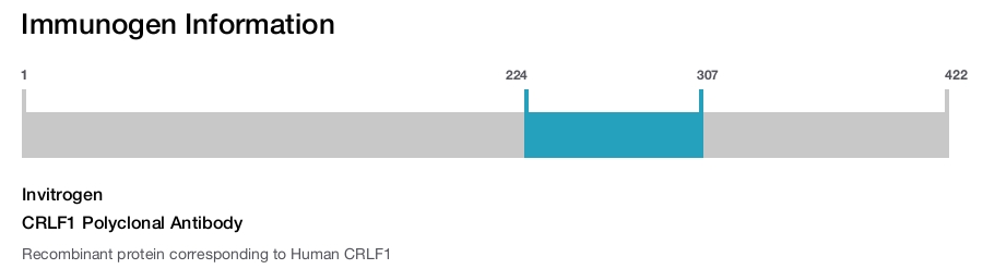 CRLF1 Polyclonal Antibody