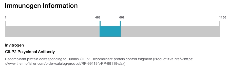 CILP2 Polyclonal Antibody