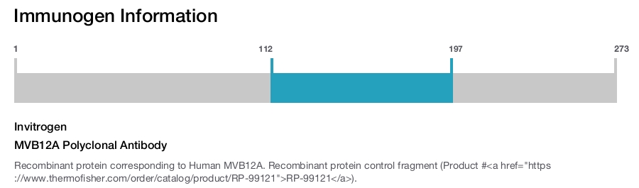 MVB12A Polyclonal Antibody