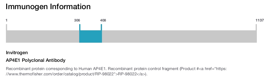 AP4E1 Polyclonal Antibody