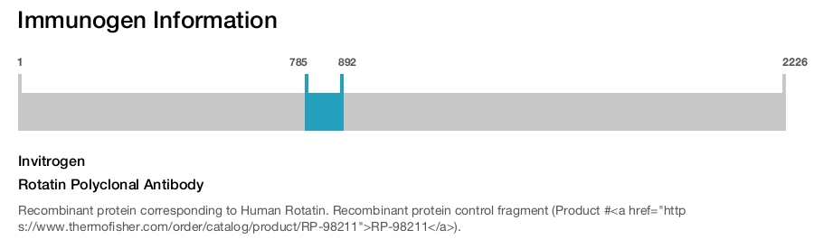 Rotatin Polyclonal Antibody
