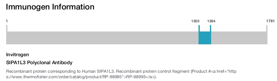 SIPA1L3 Polyclonal Antibody