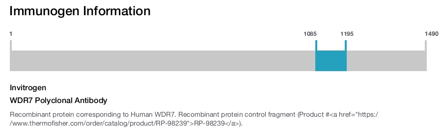 WDR7 Polyclonal Antibody