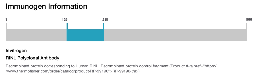 RINL Polyclonal Antibody