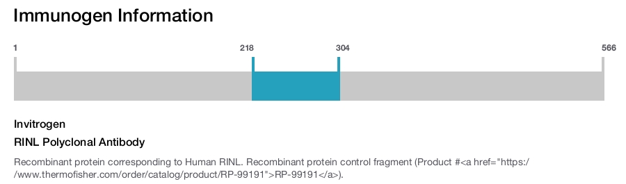 RINL Polyclonal Antibody