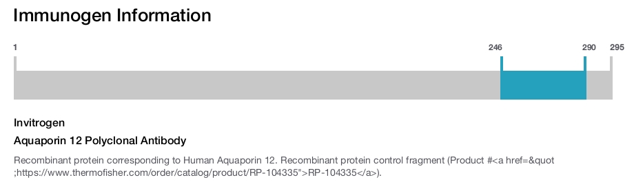 Aquaporin 12 Polyclonal Antibody