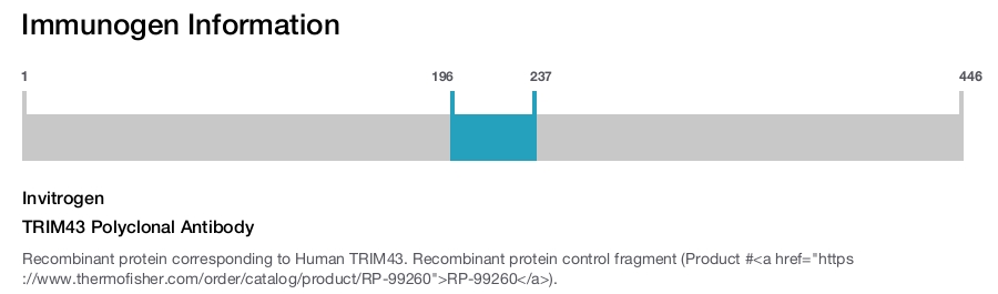 TRIM43 Polyclonal Antibody