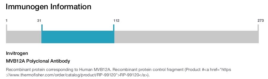 MVB12A Polyclonal Antibody