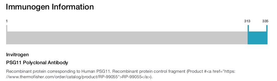 PSG11 Polyclonal Antibody