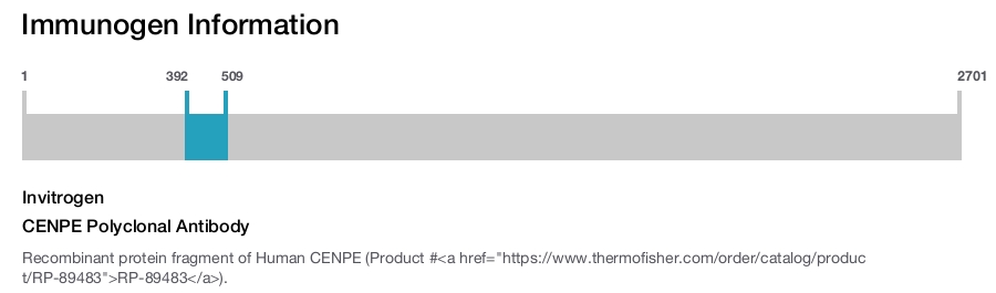 CENPE Polyclonal Antibody