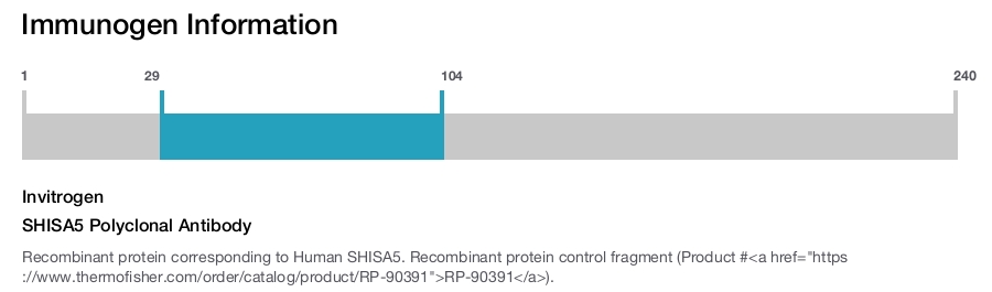 SHISA5 Polyclonal Antibody