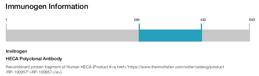 HECA Polyclonal Antibody