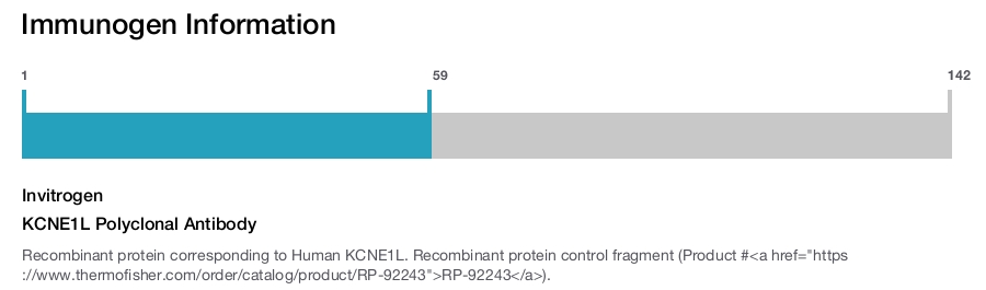 KCNE1L Polyclonal Antibody