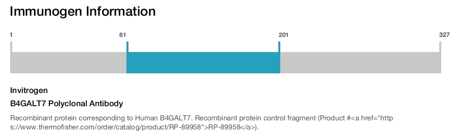 B4GALT7 Polyclonal Antibody