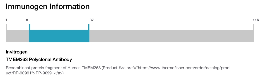 TMEM263 Polyclonal Antibody