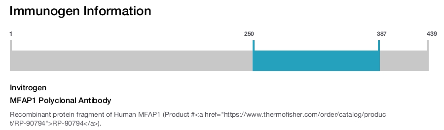 MFAP1 Polyclonal Antibody
