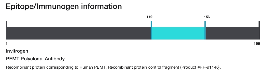 PEMT Polyclonal Antibody