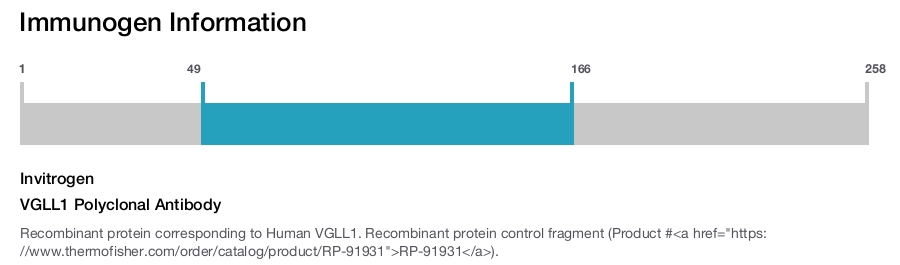 VGLL1 Polyclonal Antibody
