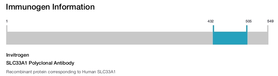SLC33A1 Polyclonal Antibody