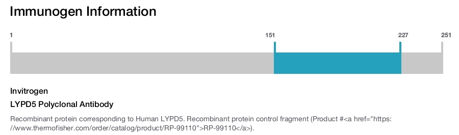 LYPD5 Polyclonal Antibody