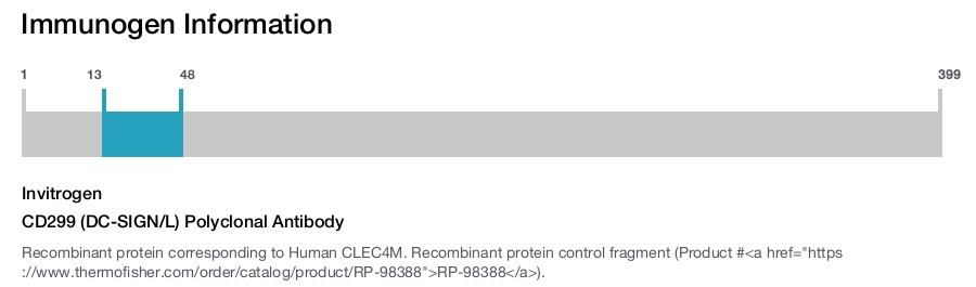 CD299 (DC-SIGN/L) Polyclonal Antibody