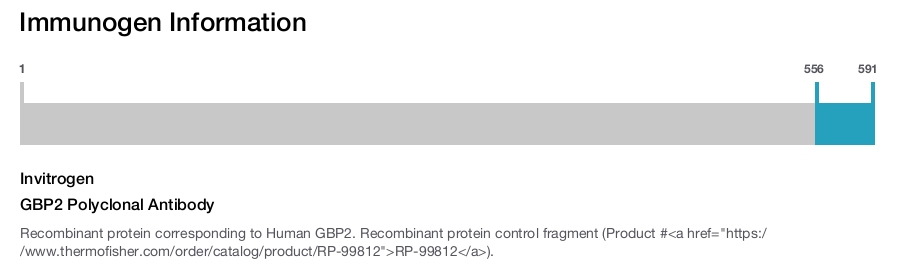 GBP2 Polyclonal Antibody