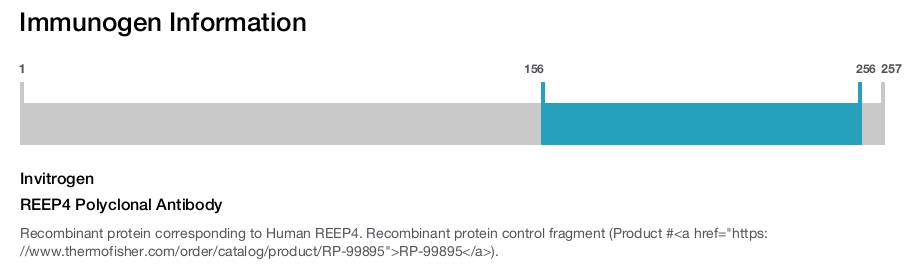 REEP4 Polyclonal Antibody
