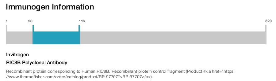 RIC8B Polyclonal Antibody