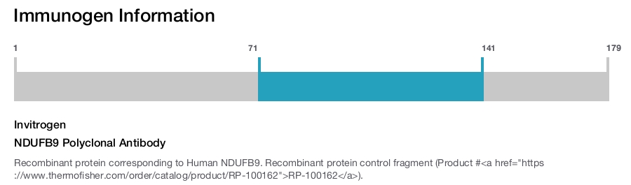 NDUFB9 Polyclonal Antibody