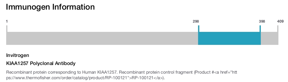 KIAA1257 Polyclonal Antibody
