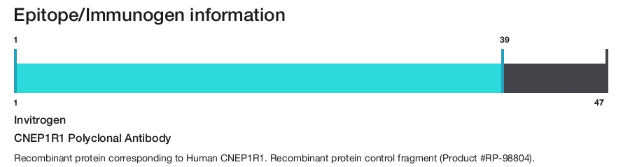 CNEP1R1 Polyclonal Antibody