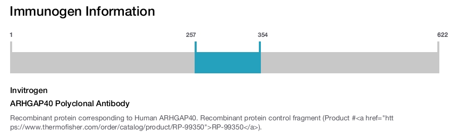 ARHGAP40 Polyclonal Antibody