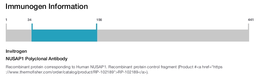 NUSAP1 Polyclonal Antibody