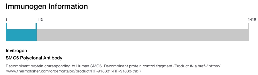 SMG6 Polyclonal Antibody
