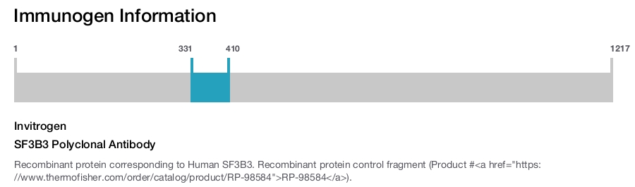 SF3B3 Polyclonal Antibody