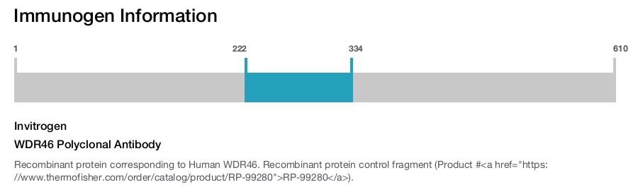 WDR46 Polyclonal Antibody