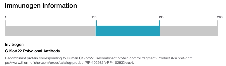 C19orf22 Polyclonal Antibody