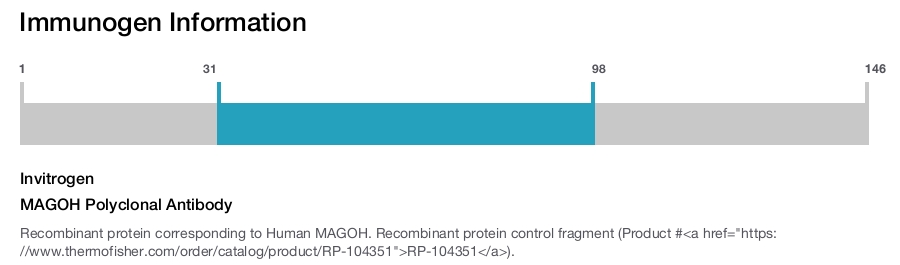MAGOH Polyclonal Antibody