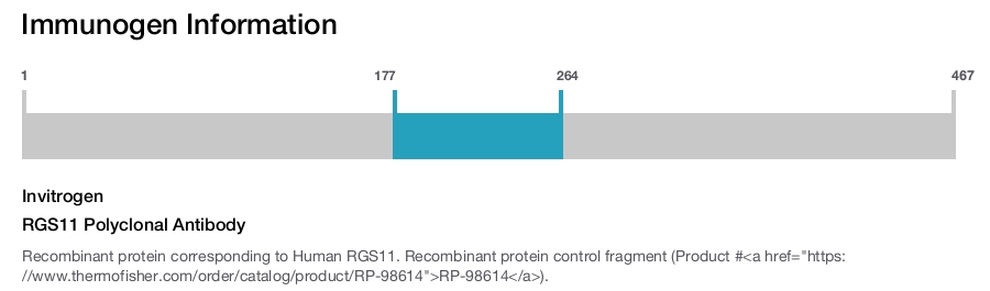 RGS11 Polyclonal Antibody