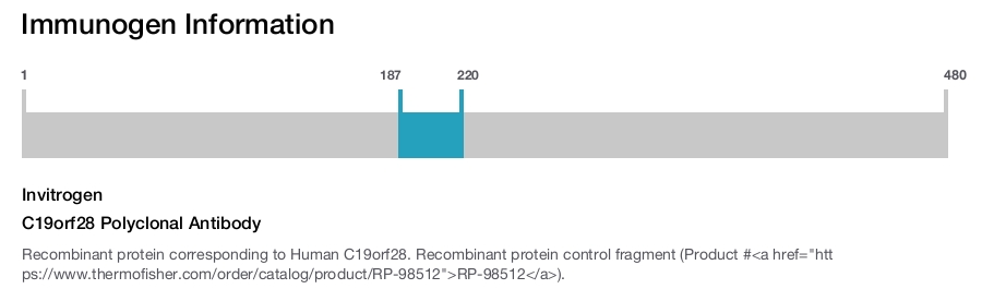 C19orf28 Polyclonal Antibody
