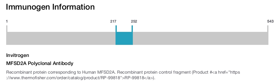 MFSD2A Polyclonal Antibody