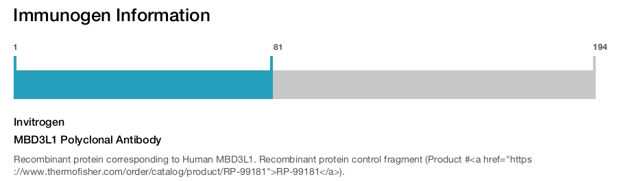 MBD3L1 Polyclonal Antibody